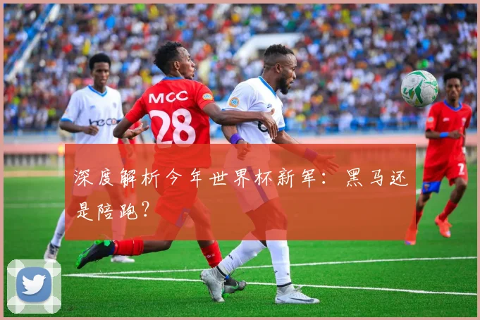 深度解析今年世界杯新军：黑马还是陪跑？