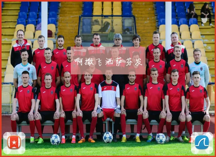 世界杯合买成风潮：探讨2018年赛事期间的集体投注新模式