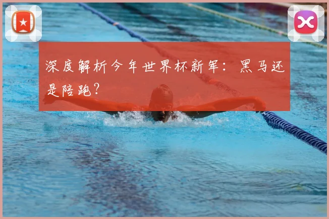 深度解析今年世界杯新军：黑马还是陪跑？