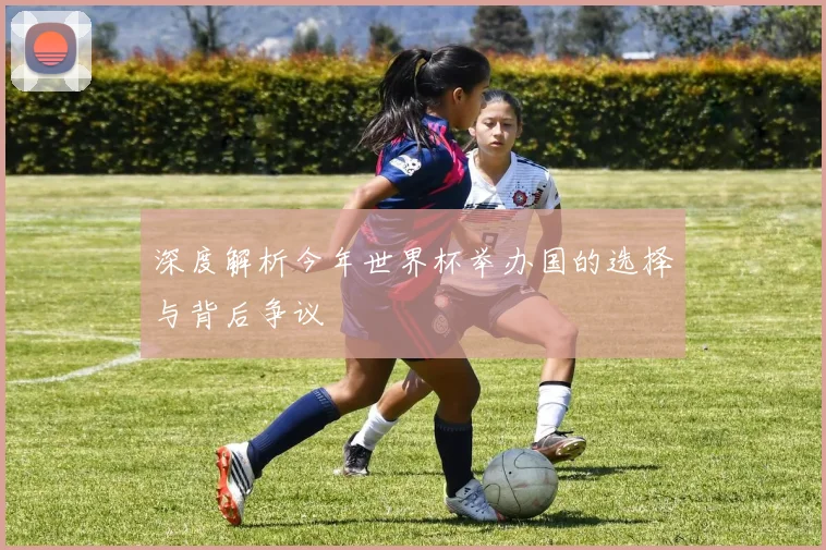 深度解析今年世界杯举办国的选择与背后争议
