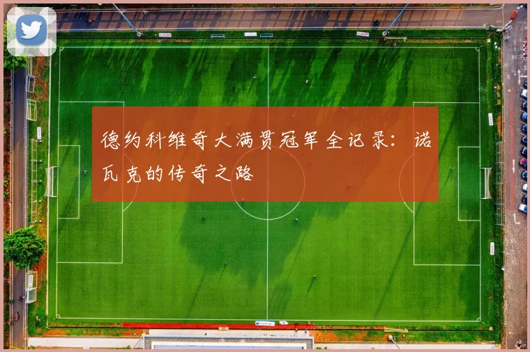 德约科维奇大满贯冠军全记录:诺瓦克的传奇之路